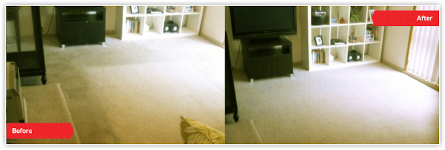 Comments and reviews of WOW Carpet Cleaning - Wellington