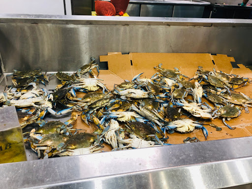 Asian Grocery Store «MT Supermarket», reviews and photos, 10901 N Lamar Blvd G, Austin, TX 78753, USA