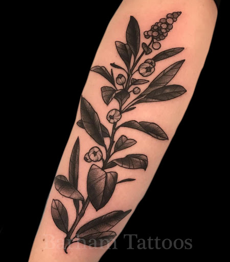 Tattoo Shop «Fable Tattoo Gallery», reviews and photos, 3202 W Cary St, Richmond, VA 23221, USA