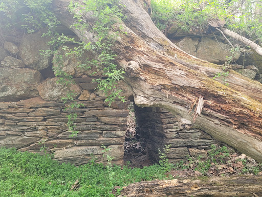 Nature Preserve «Shannondale Springs Wildlife Management Area», reviews and photos, Co Rte 9/5, Harpers Ferry, WV 25425, USA