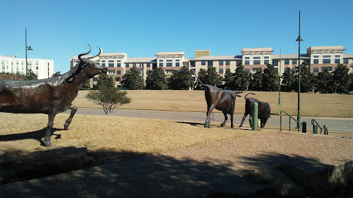 Park «Frisco Central Park», reviews and photos, 3155 Parkwood Blvd, Frisco, TX 75034, USA