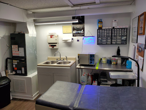 Explore sand dollar tattoo ideas, creative tattoo ideas in Ocala, available at SKIN STICKERS