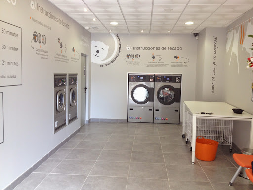 Lavandería Autoservicio Oso Blanco