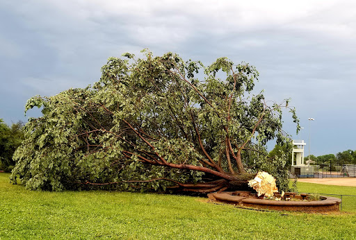 Park «Delcastle Recreational Park», reviews and photos, 2920 Duncan Rd, Wilmington, DE 19808, USA