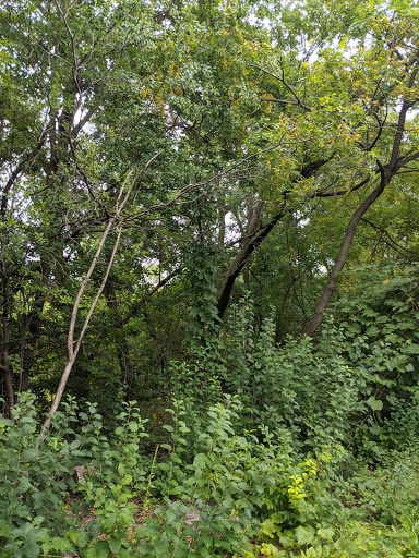 Park «Creekview Park», reviews and photos, 5001 Humboldt Ave N, Minneapolis, MN 55430, USA
