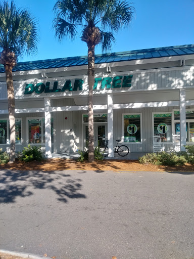 Dollar Store «Dollar Tree», reviews and photos, 890 William Hilton Pkwy, Hilton Head Island, SC 29928, USA