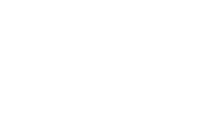 Savy Bienes Raíces - Agencia inmobiliaria