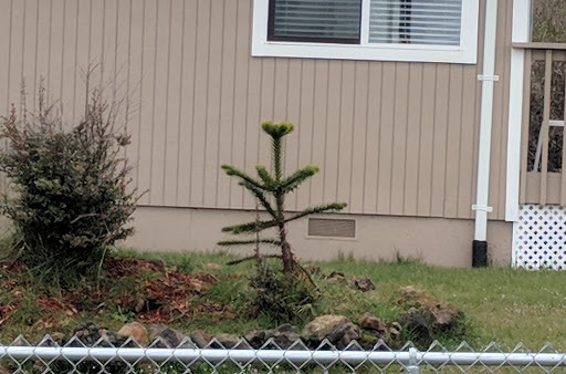 Public Golf Course «Ocean Shores Golf Course», reviews and photos, 500 Canal Dr NE, Ocean Shores, WA 98569, USA