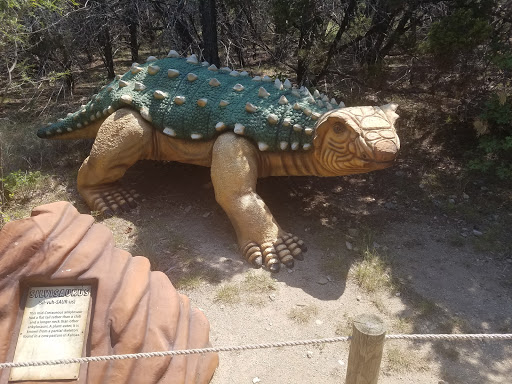 Museum «Dinosaur World», reviews and photos, 1058 Park Rd 59, Glen Rose, TX 76043, USA