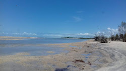 Zdjęcie Praia Barra de Albino położony w naturalnym obszarze