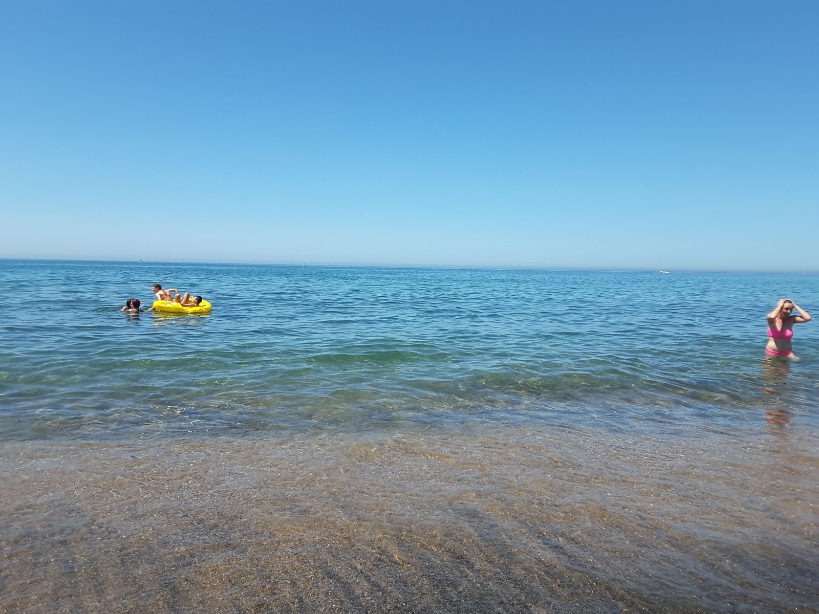 Sabbie Nere Santa Severa
'in fotoğrafı - tatil için iyi evcil hayvan dostu nokta