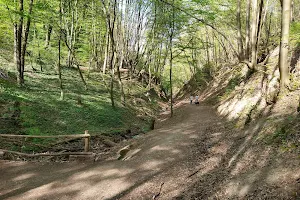 Klufterbachtal image