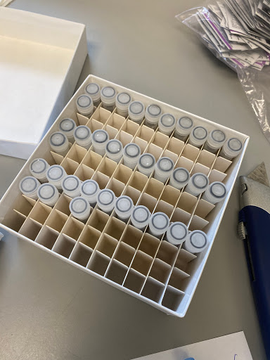 Day Care Center «La Petite Academy of Exton, PA», reviews and photos, 91 Sheree Blvd, Exton, PA 19341, USA