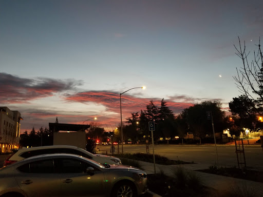 Starbucks image