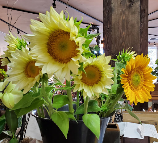 Florist «Sherwood Florist & Gift Shoppe», reviews and photos, 10239 Fair Oaks Blvd #A, Fair Oaks, CA 95628, USA