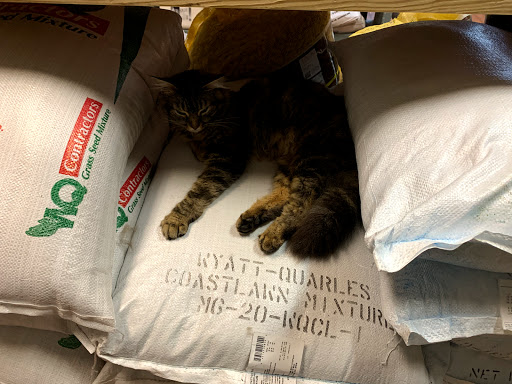 Animal Feed Store «Currituck Feed And Seed», reviews and photos, 3121 Caratoke Hwy, Currituck, NC 27929, USA