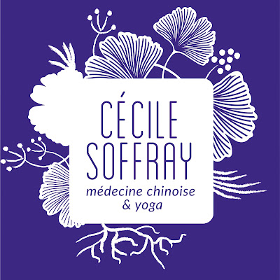 Médecine chinoise, acupuncture - Cécile Soffray à Voiron