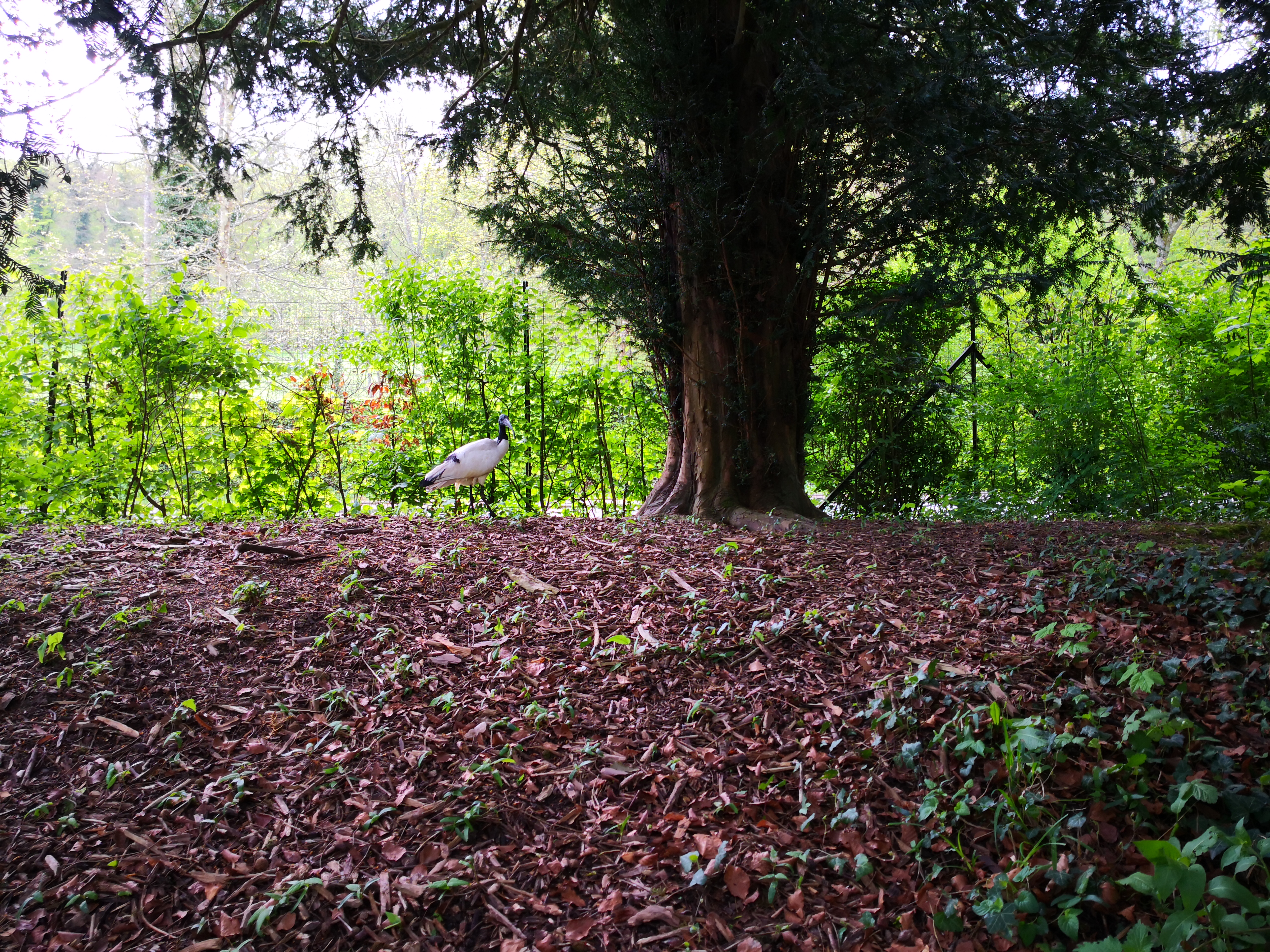 Photo n° 4 de l'avis de Mélanie. fait le 02/05/2019 à 08:22