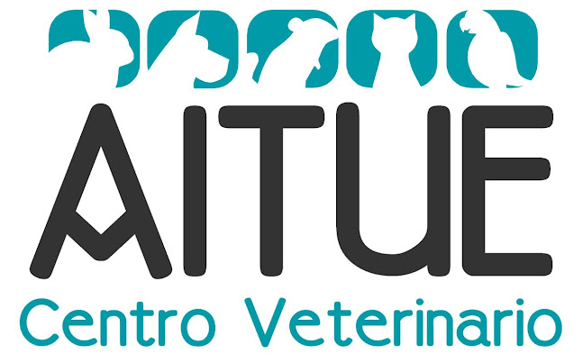 Centro Veterinario Aitue - Veterinario