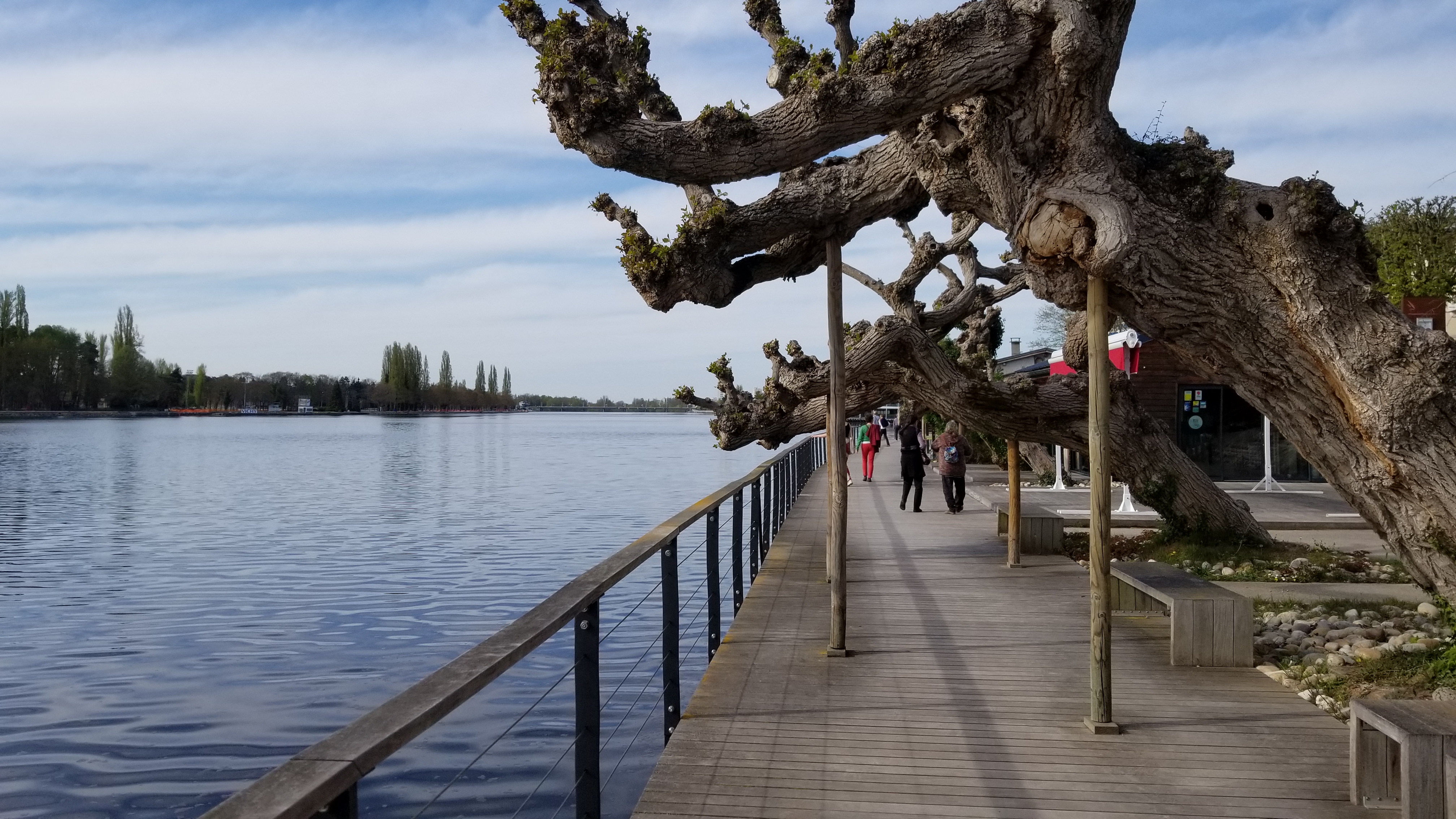 Photo n° 1 de l'avis de Vincent.e fait le 20/04/2019 à 09:47