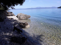 Daily beach'in fotoğrafı imkanlar alanı