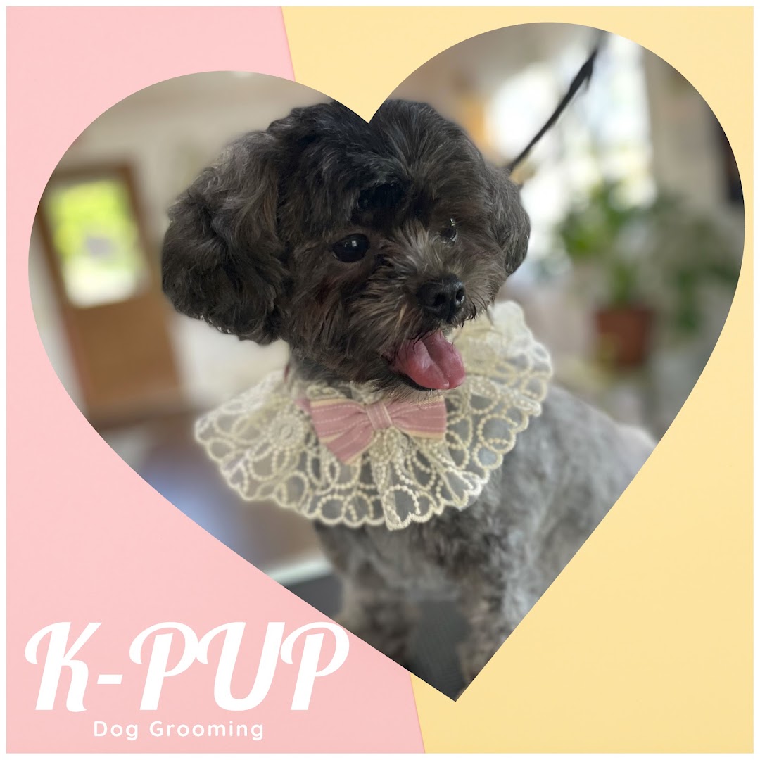 K-Pup Dog Grooming - Salon and Spa and Make-over