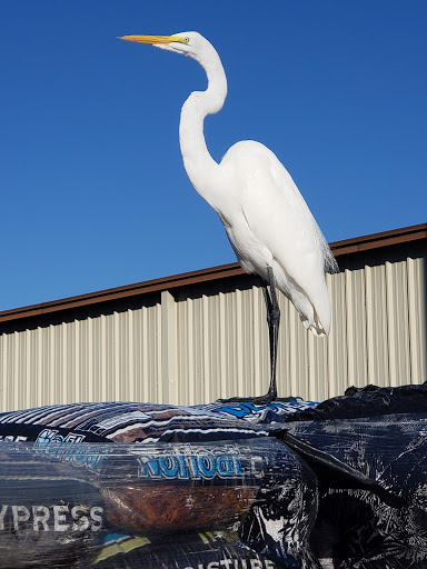 Hardware Store «South Leesburg Ace Hardware», reviews and photos, 27649 US-27, Leesburg, FL 34748, USA