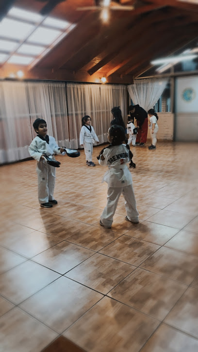 Taekwondo WT Lautaro MOOGA