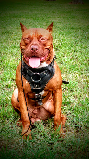 Park «Herman Brown Park», reviews and photos, 400 Mercury Dr, Houston, TX 77013, USA