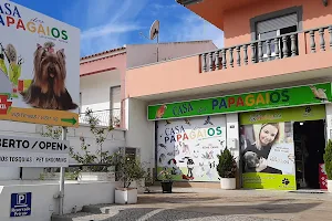 Casa Dos Papagaios Pet Shop Almancil image