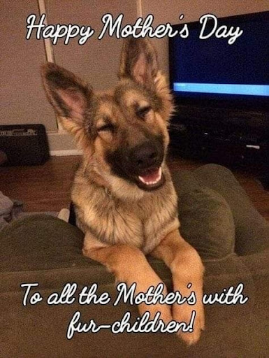 Hair Salon «HAIRapy AVEDA Salon», reviews and photos, HAIRapy AVEDA Salon, 159 S 5th St, Lander, WY 82520, USA