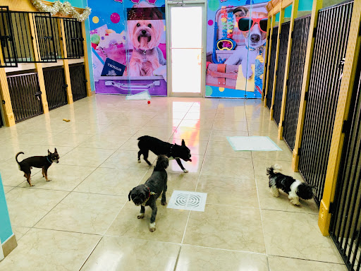 Doggie Day Spa & Pet Hotel