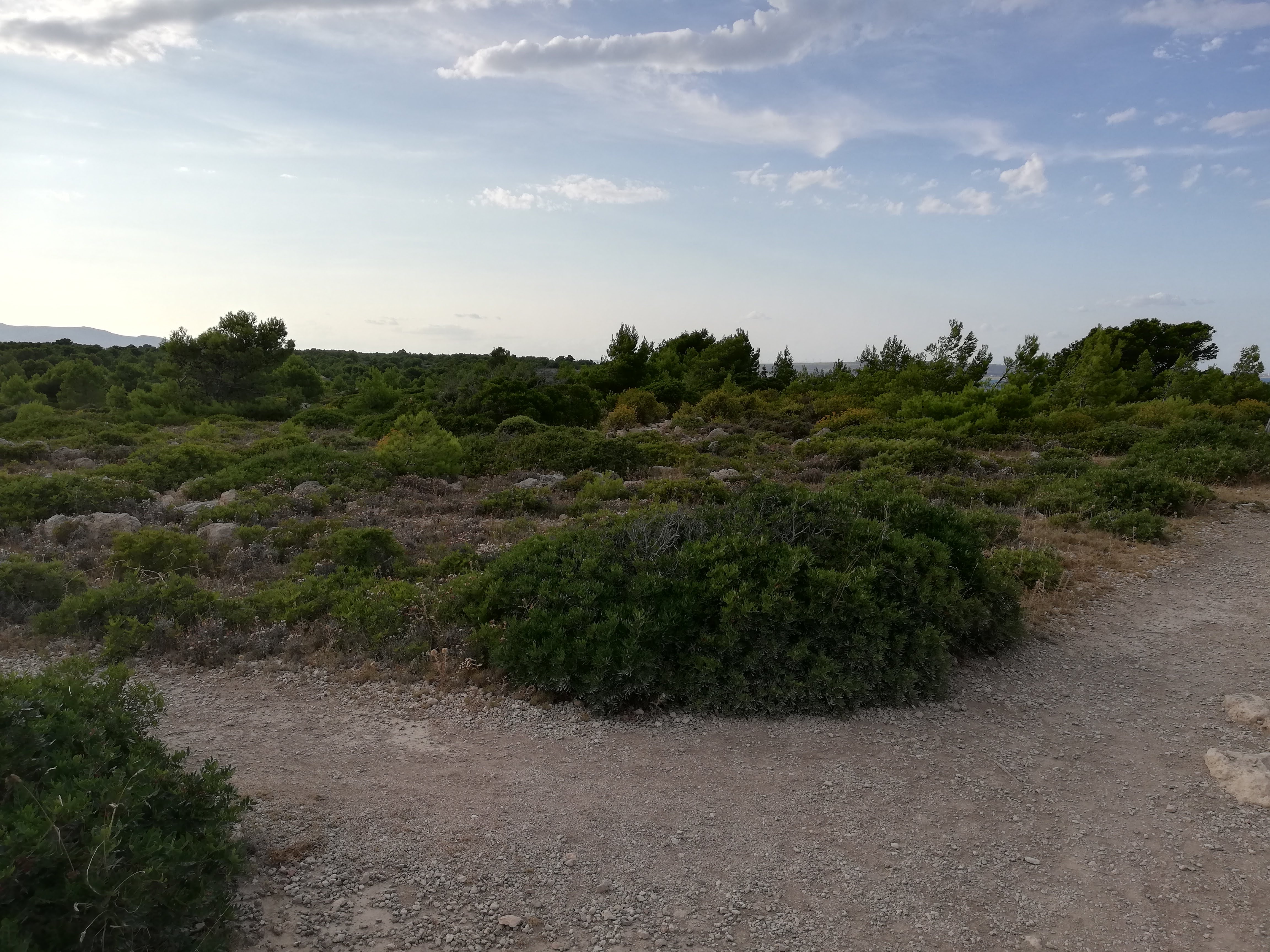 Photo n° 1 de l'avis de catherine.a fait le 29/08/2018 à 19:59