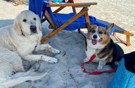 Insurance Agency «Lisa Jones Dobbs - State Farm Insurance Agent», reviews and photos