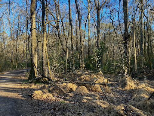 Al Buehler Trail Parking