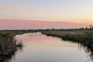 East Wetlands Park image