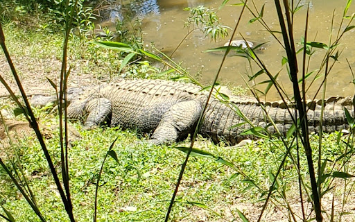 Zoo «Caldwell Zoo», reviews and photos, 2203 W Martin Luther King Jr Blvd, Tyler, TX 75702, USA