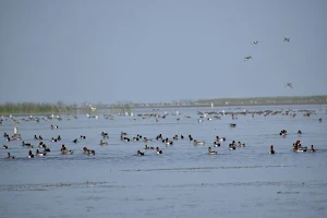 Nalbana Bird Sanctuary ନଳବଣ ପକ୍ଷୀ ଅଭୟାରଣ୍ୟ image