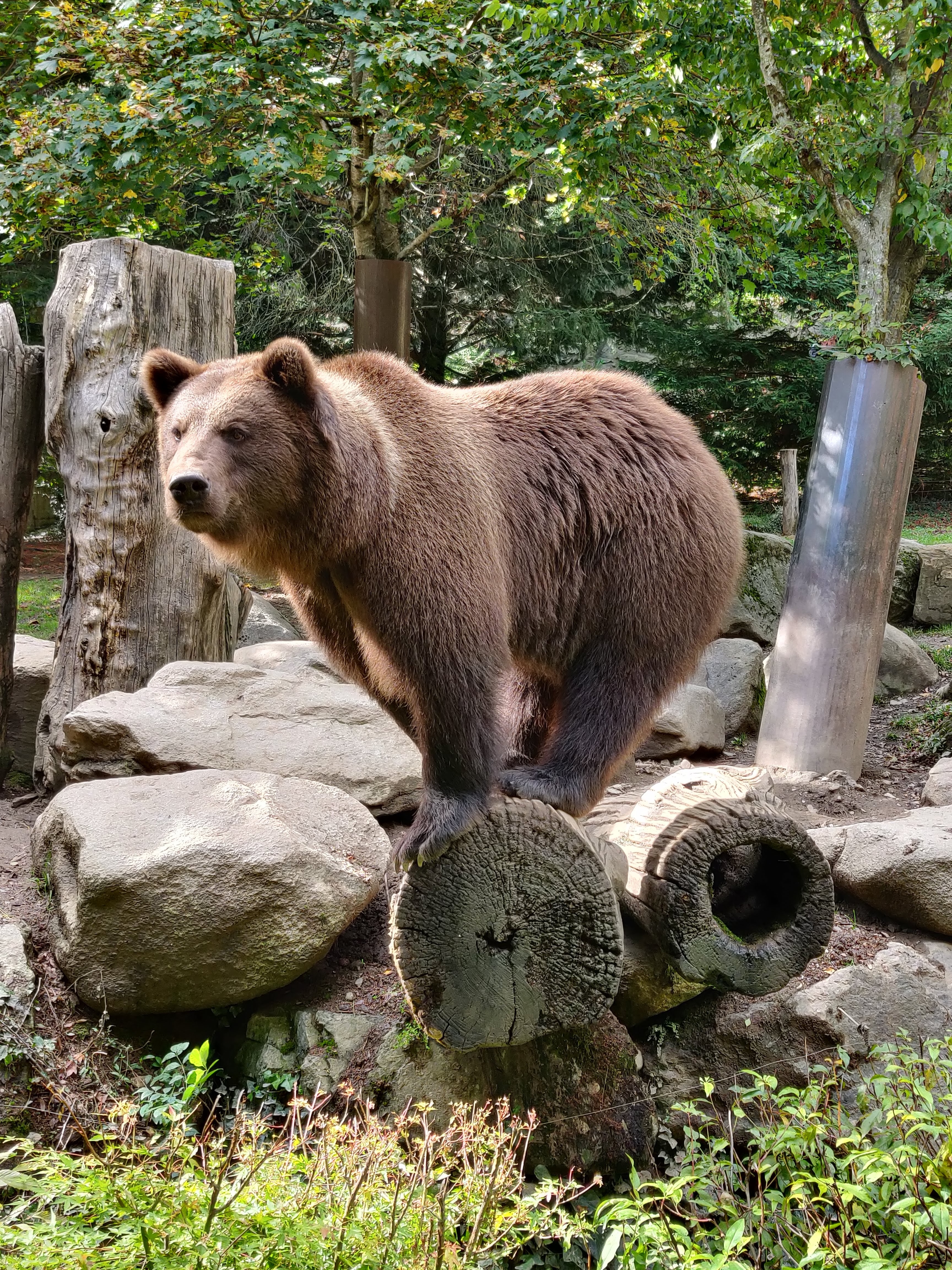 Photo n° 3 de l'avis de Kelly.e fait le 06/10/2020 à 20:25