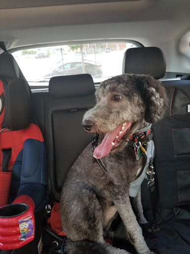 Pet Supply Store «PetSmart», reviews and photos, 6535 Frontier Dr, Springfield, VA 22150, USA