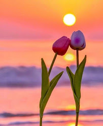 Vitality Acupuncture LLC - Photo 7 - Car repair in Gulf Breeze, FL, Pensacola