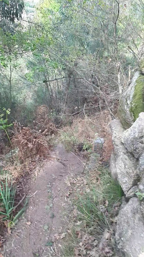 Avaliações doCampo G.D. Cepelos em Vale de Cambra - Campo de futebol