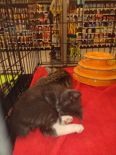 Pet Supply Store «PetSmart», reviews and photos, 4550 W Lake Mary Blvd, Lake Mary, FL 32746, USA