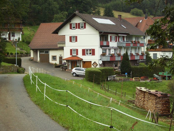 Extérieur Maison d'hôtes Gästehaus Glaser 72270 Baiersbronn