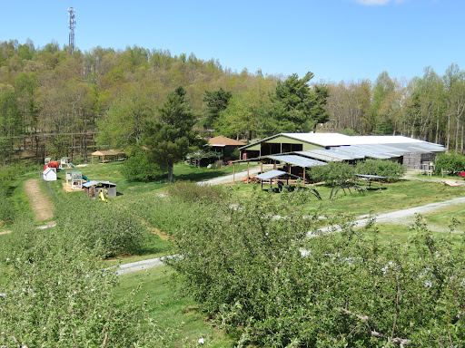 Orchard «Sky Top Orchard», reviews and photos, 1193 Pinnacle Mountain Rd, Flat Rock, NC 28731, USA