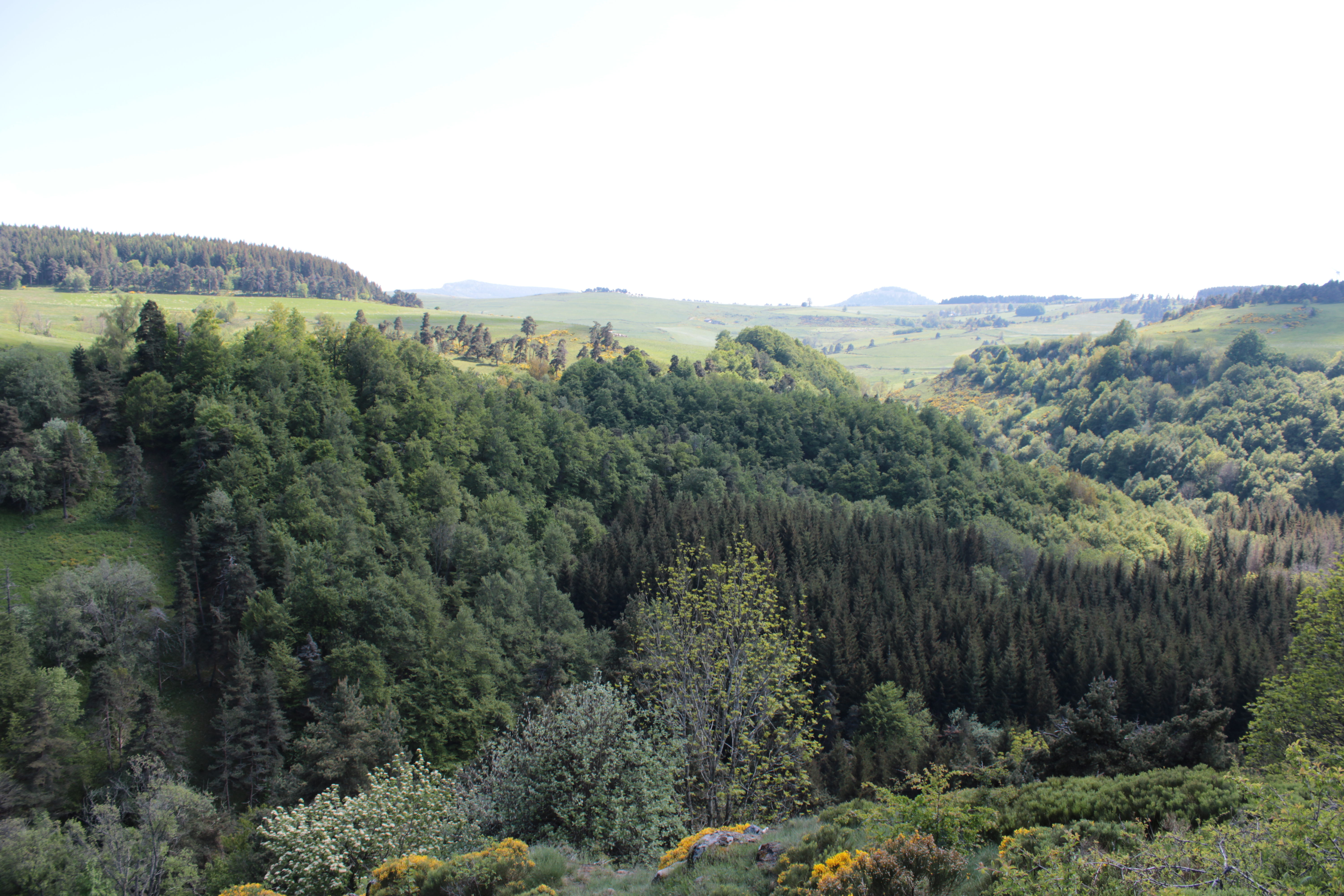Photo n° 3 de l'avis de L. fait le 19/05/2020 à 22:39