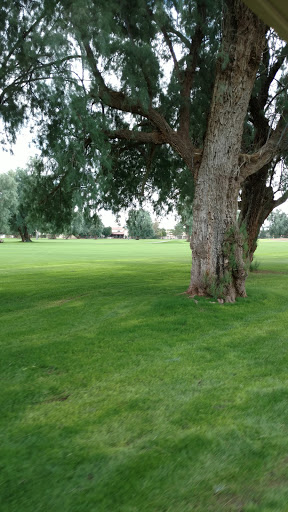 Golf Course «San Marcos Golf Course», reviews and photos, 100 N Dakota St, Chandler, AZ 85225, USA