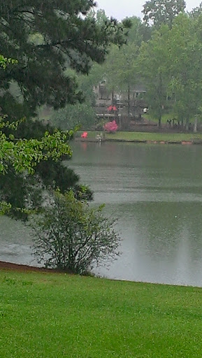 Golf Course «Georgia National Country Club», reviews and photos, 1715 Lake Dow Rd, McDonough, GA 30252, USA