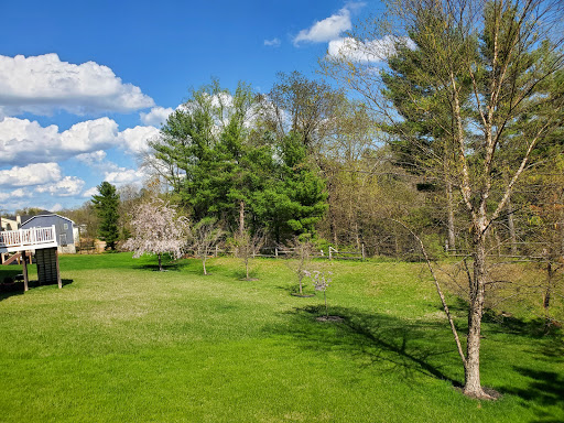 Park «Gough Park», reviews and photos, 9300 Honeygo Blvd, Perry Hall, MD 21128, USA