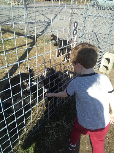 Farm «Fairmount Fruit Farm», reviews and photos, 887 Lincoln Street, Franklin, MA 02038, USA